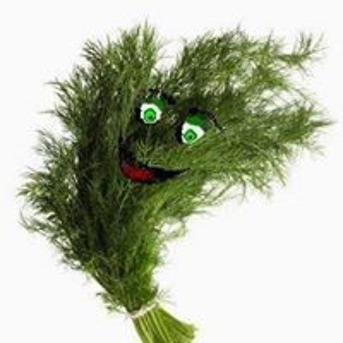 Веселые картинки укроп