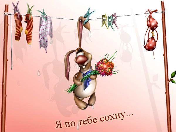 Смешные открытки любимому