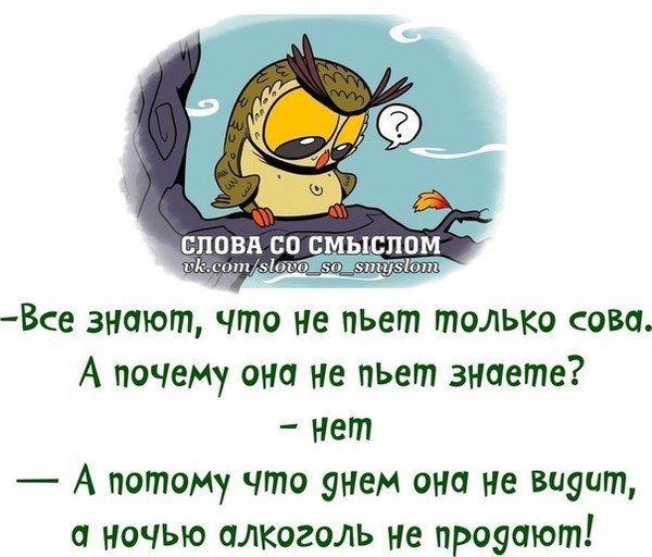 Смешные цитаты со смыслом