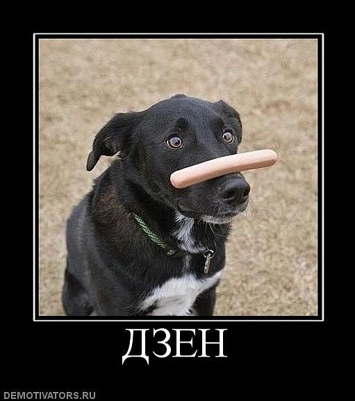 Постиг дзен