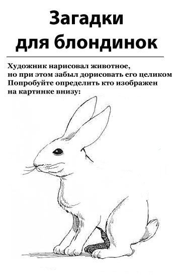 Загадка про трёх поросят для детей