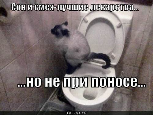 Шутки про понос