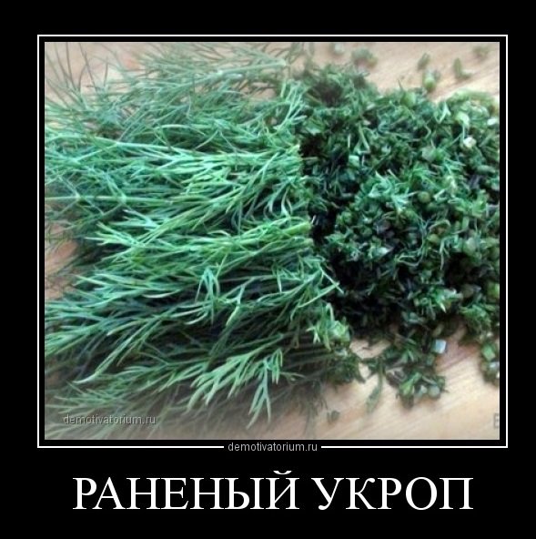 Смешной укроп