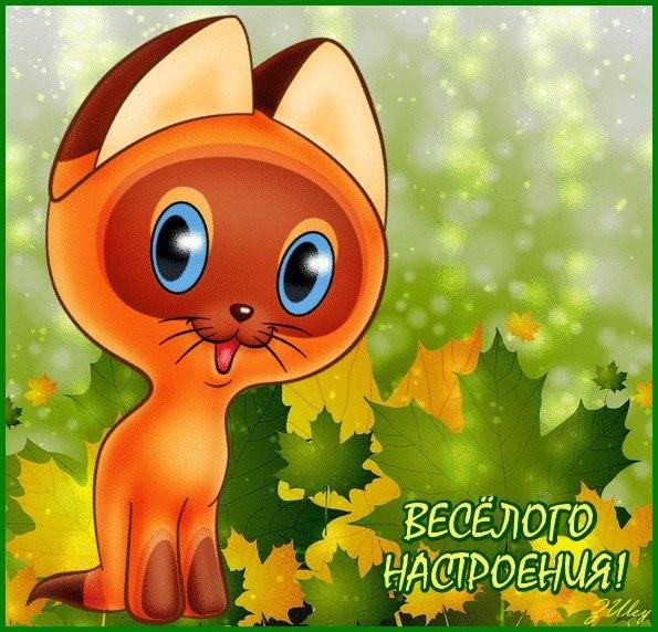Открытки для поднятия настроения