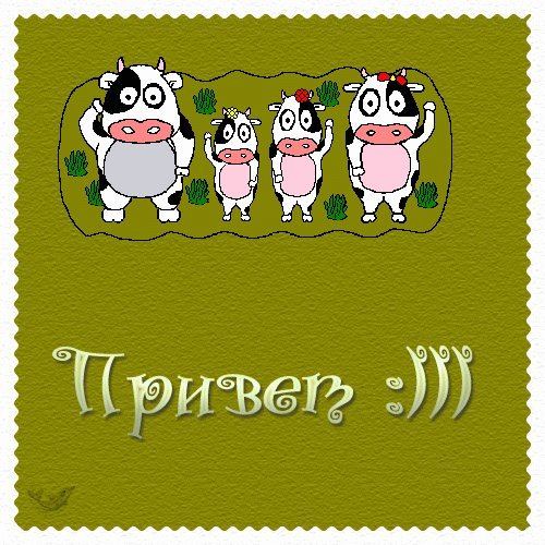 Привет прикольные