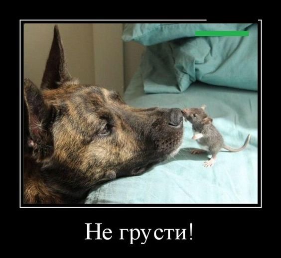 Не грусти демотиваторы
