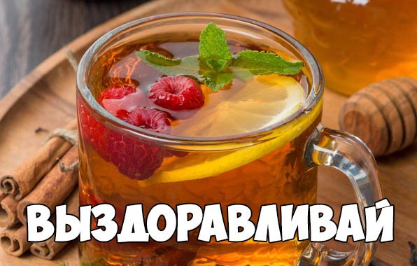 Не болей выздоравливай