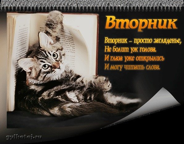 Смешные поздравления с вторником