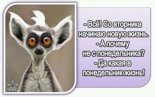 Шутки про вторник