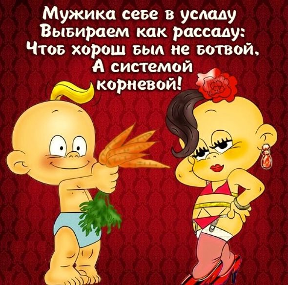 Открытки с юмором
