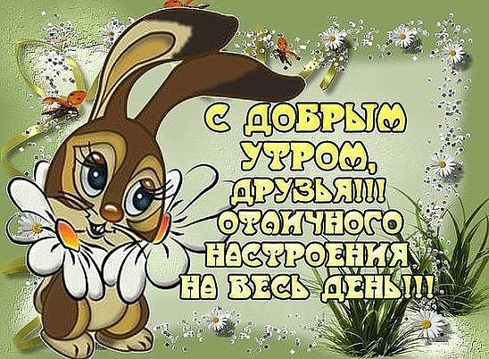 Веселые пожелания с добрым утром