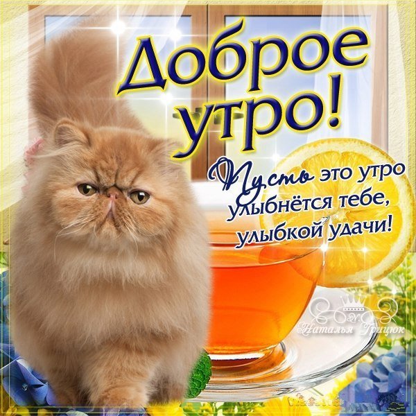 Забавные открытки с добрым утром
