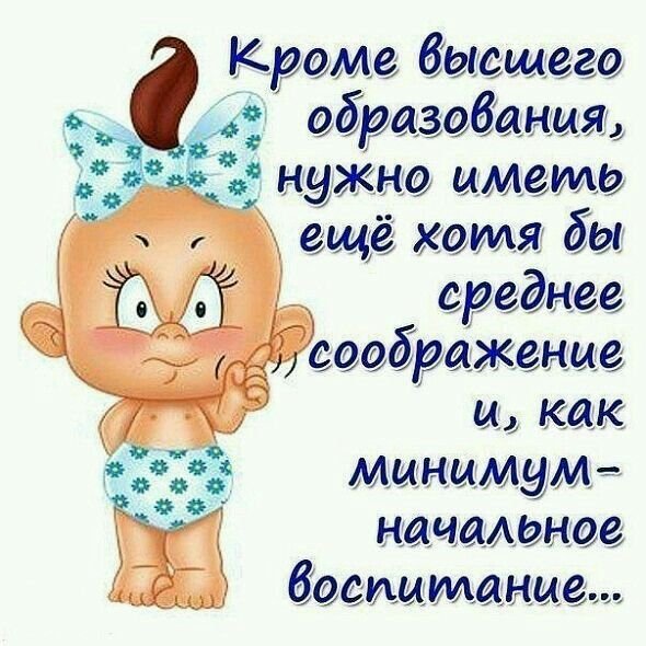 Высказывания о жизни с юмором