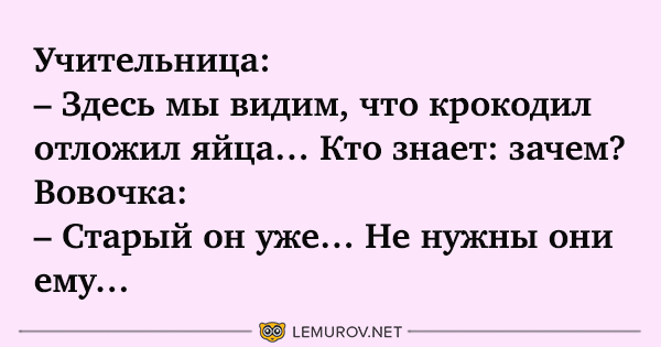 Весёлые анекдоты для поднятия настроения