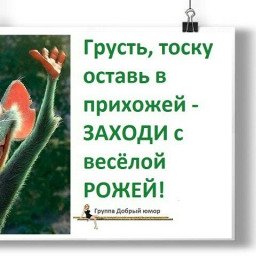 Вход только с хорошим настроением