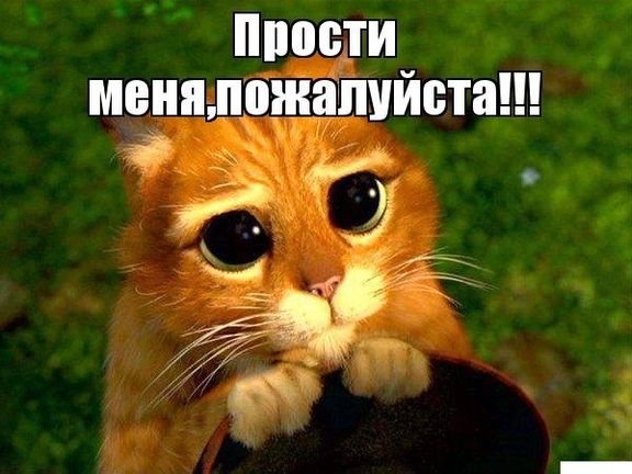 Прости меня пожалуйста