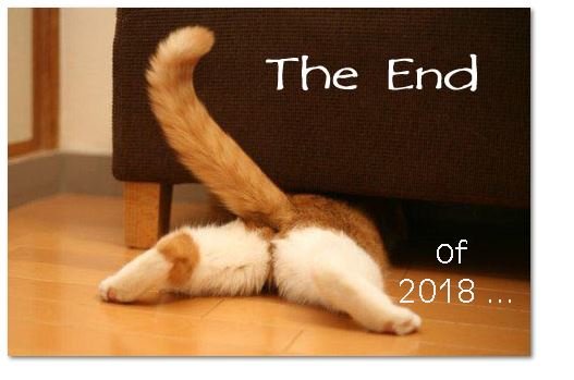 Cat ends