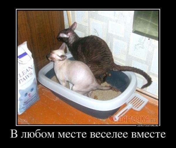 В любом месте веселее вместе