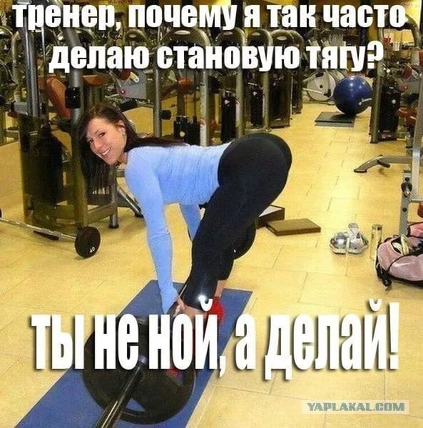 Приколы про спортзал