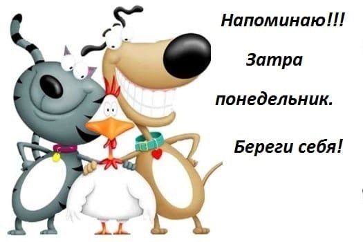 Воскресенье картинки прикольные