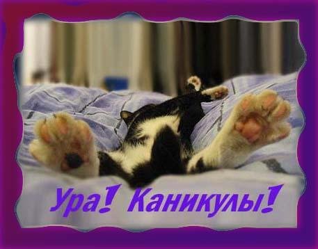 Ура каникулы прикольные