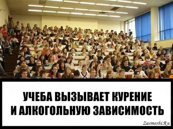 Шутки про учебу