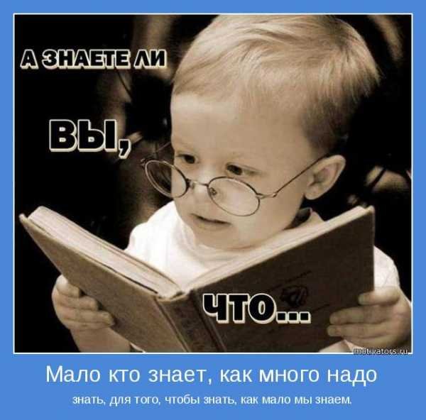 Статусы про учебу