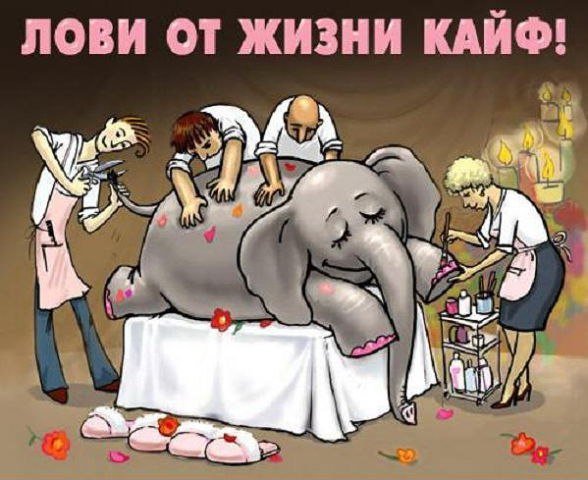С днём рождения массажисту