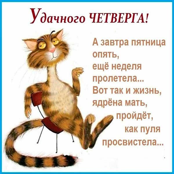 Открытки с добрым утром четверга прикольные