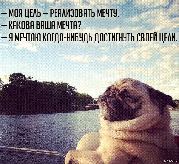 Прикольные фразы про мечту