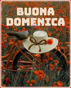 Buona domenica картинки