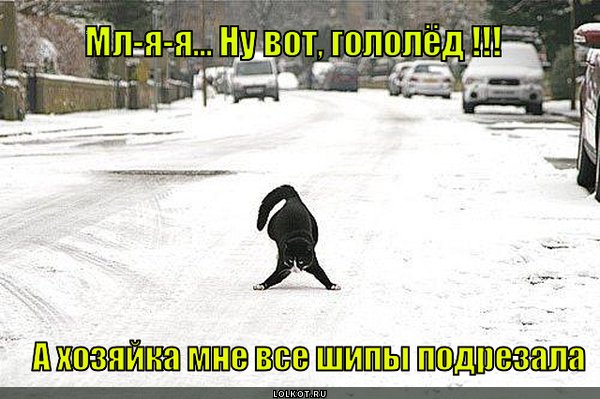 Шутки про скользкую дорогу