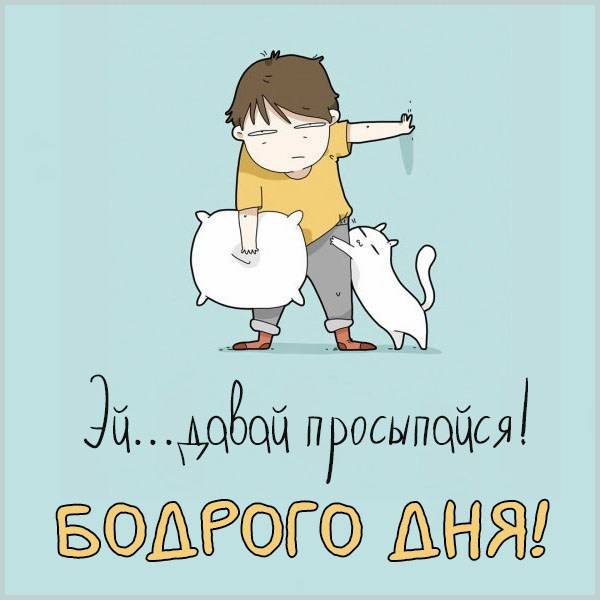 Мы бодры веселы картинки прикольные