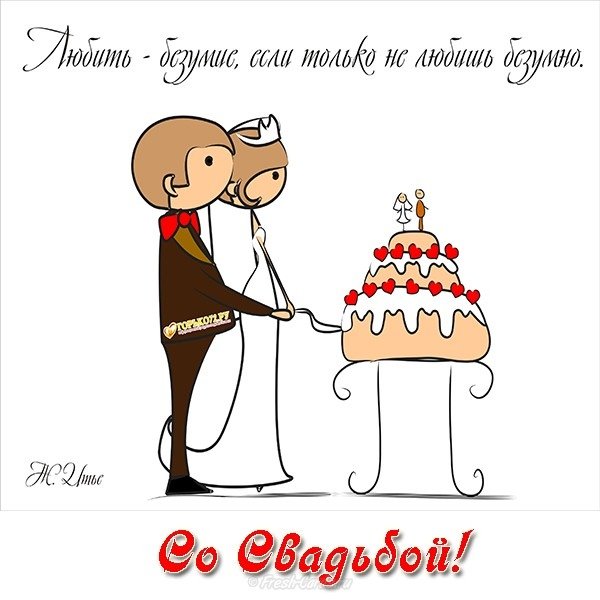С днём свадьбы прикольные поздравления
