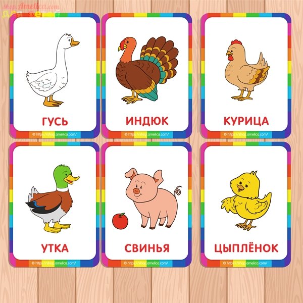 Карточки с животными для детей