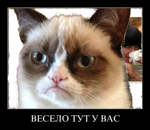 Весело тут у вас