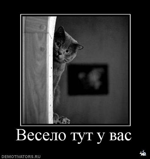 Весело тут у вас демотиватор