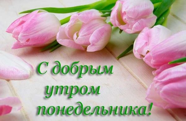 Дрброе утпо Понедельники