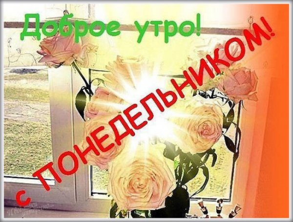 Доброе утро понедельника прикольные