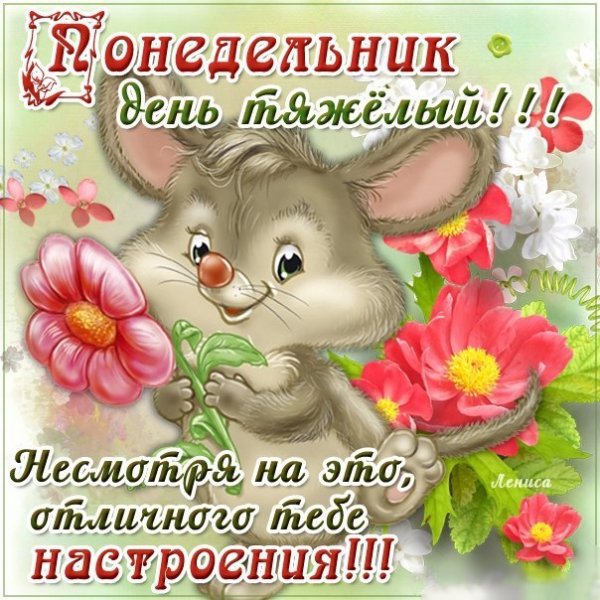 Поздравление с понедельником прикольное