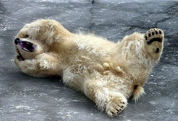 Воскресенье картинки прикольные