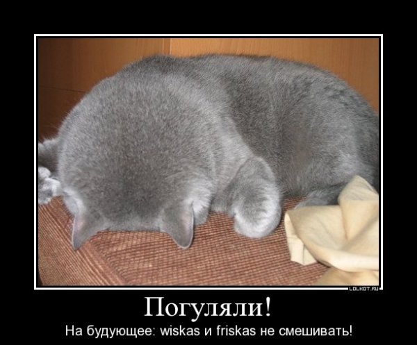 Доброй ночи перед понедельником