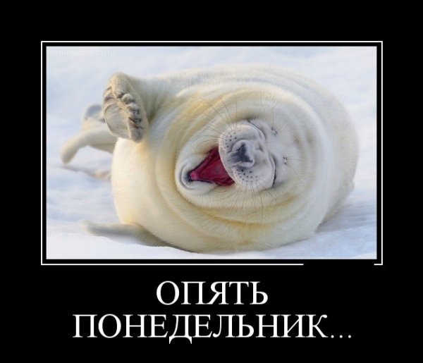 Опять понедельник