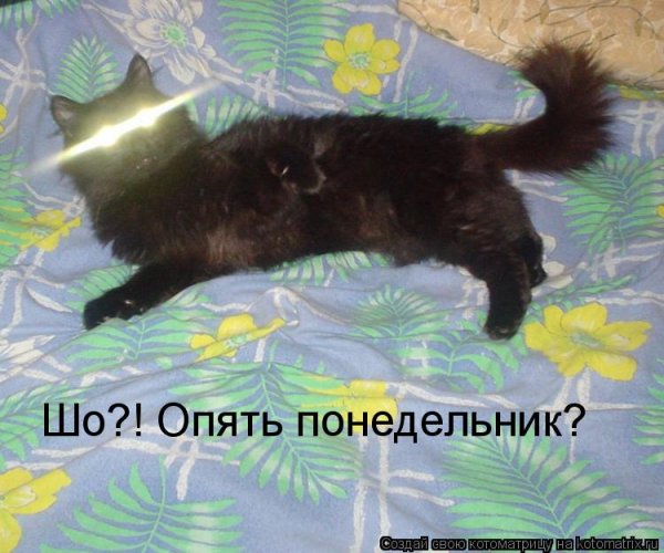 Понедельник картинки прикольные