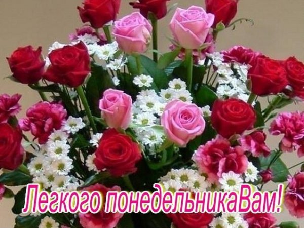 Лёгкого понедельника