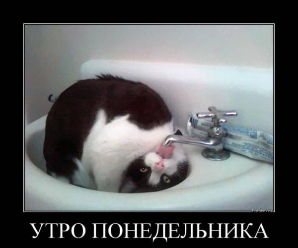 Утро понедельника добрым не бывает