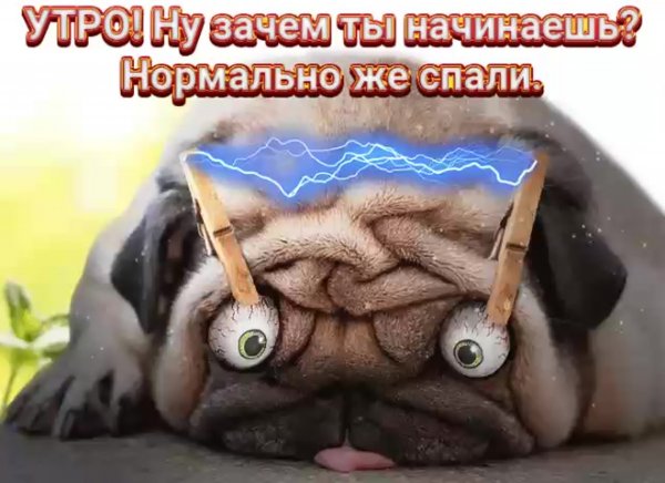 Понедельник доброе утро смешные