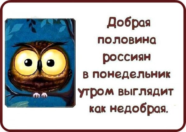 Утро понедельника приколы