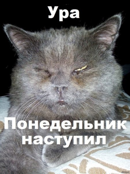 Понедельник начинается в субботу