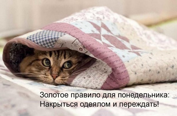 Привет понедельник